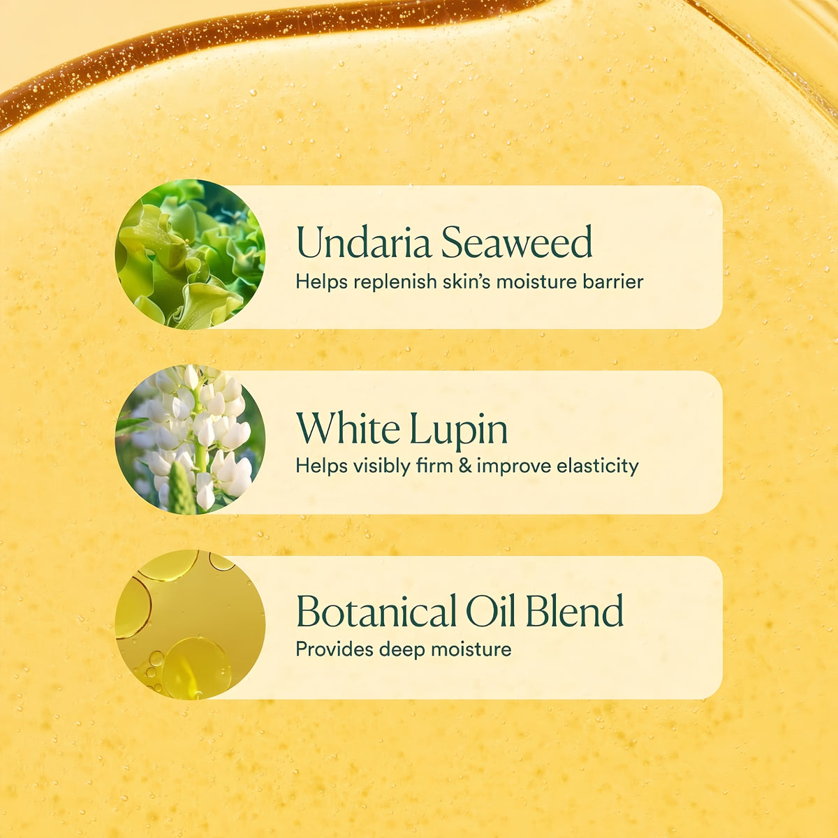 OSEA Undaria Algae Body Oil, Visibly Firming, Deeply Moisturizing, 5 oz