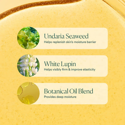OSEA Undaria Algae Body Oil, Visibly Firming, Deeply Moisturizing, 5 oz